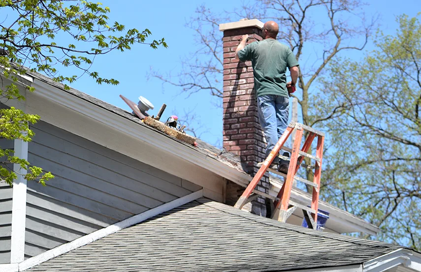 Chimney & Fireplace Inspections Services in Tinley Park, IL